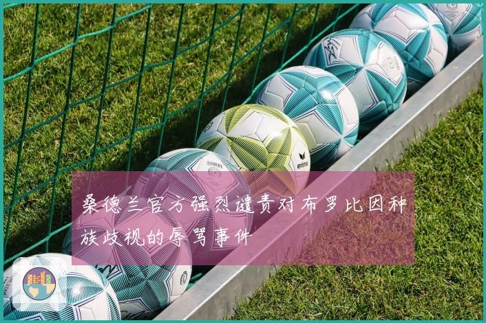 桑德兰官方强烈谴责对布罗比因种族歧视的辱骂事件