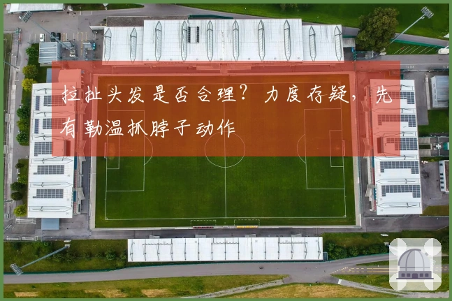 拉扯头发是否合理？力度存疑，先有勒温抓脖子动作