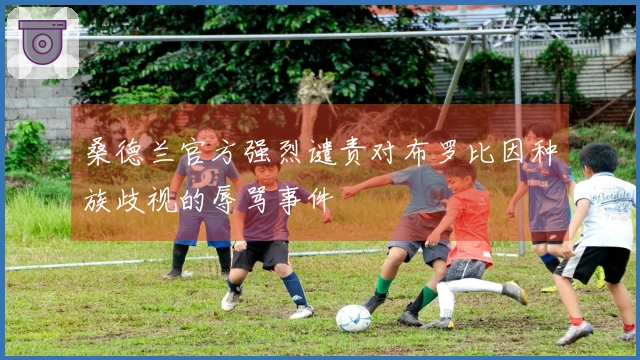 桑德兰官方强烈谴责对布罗比因种族歧视的辱骂事件