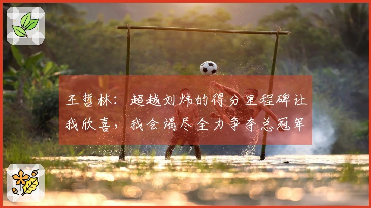 王哲林：超越刘炜的得分里程碑让我欣喜，我会竭尽全力争夺总冠军